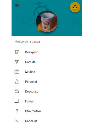 Pantalla para indicar el motivo de la pausa.