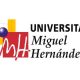 Universidad Miguel Hernandez de Elche